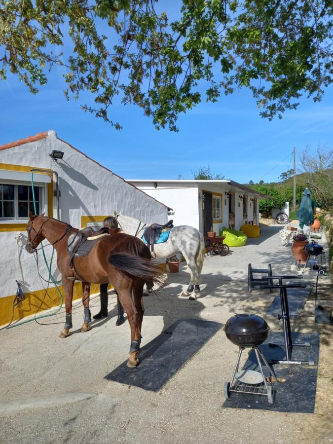 Casinha De Campo- Quintinha Dos Cavalos- أرودا دوس فينهوس المظهر الخارجي الصورة
