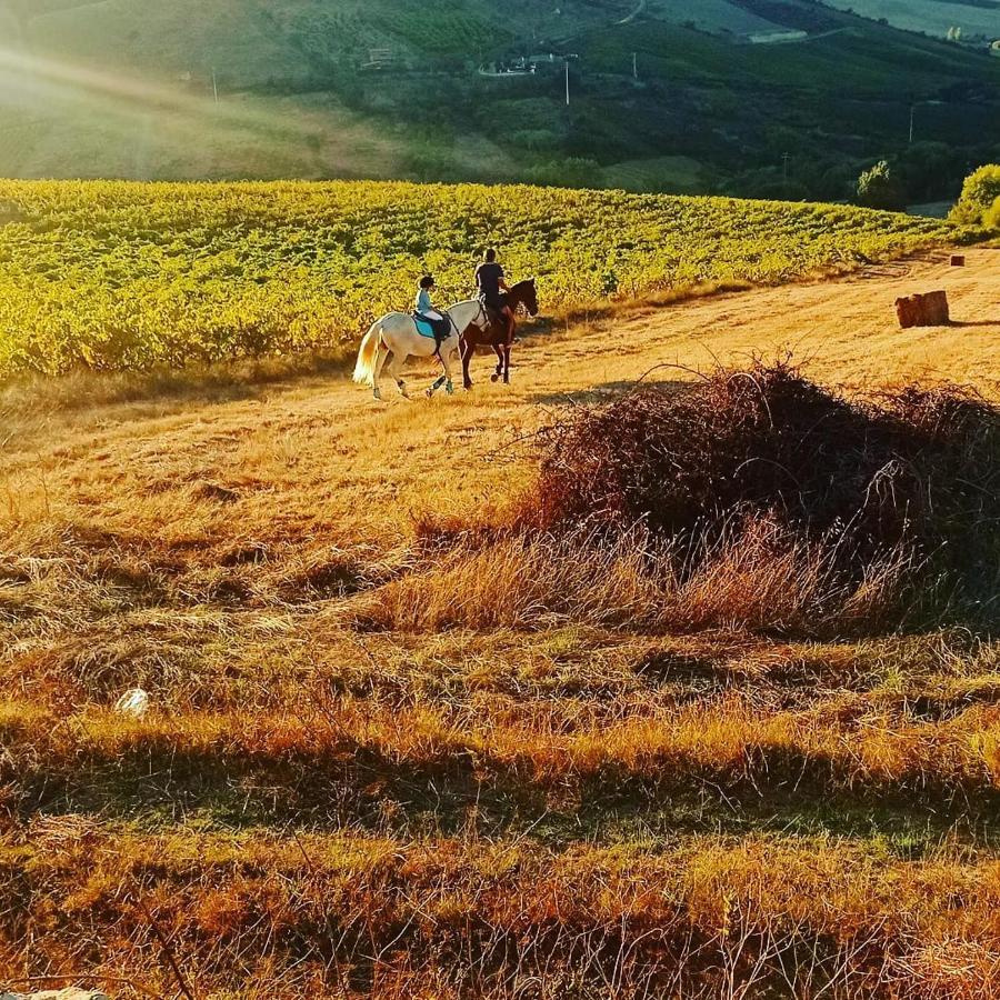 Casinha De Campo- Quintinha Dos Cavalos- أرودا دوس فينهوس المظهر الخارجي الصورة